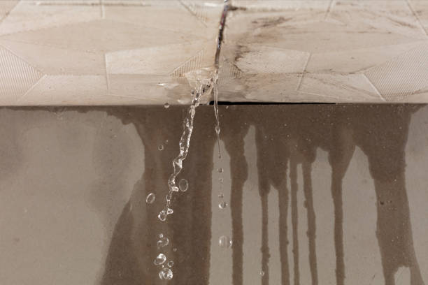 Professional Flood Damage Cleanup technician working in Bloomingrose, WV